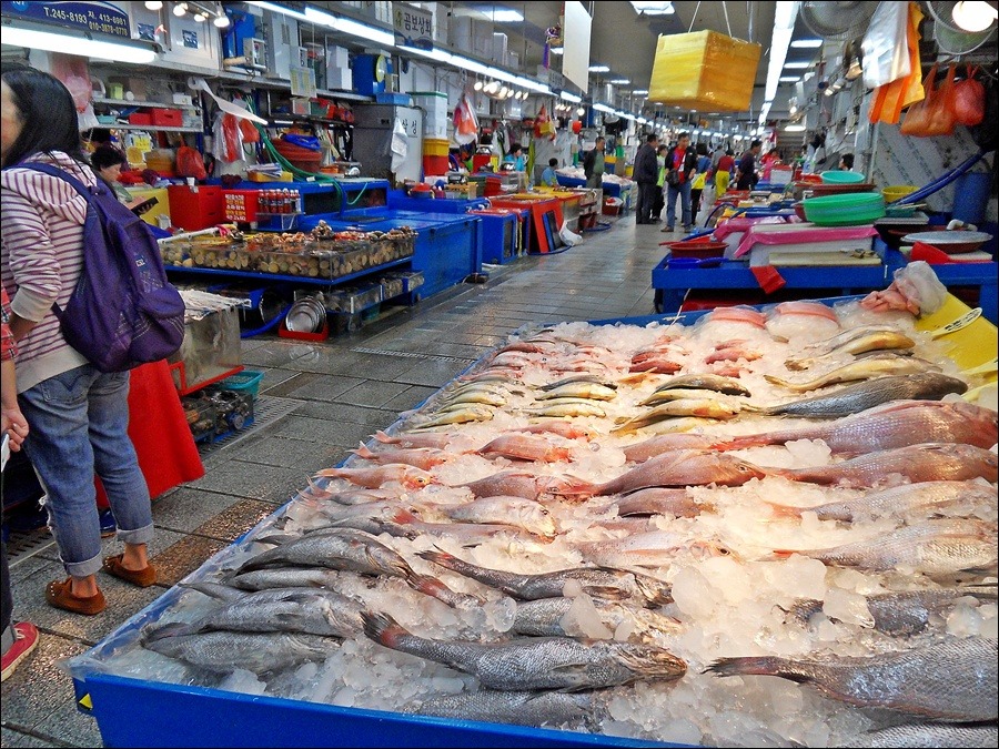 부산 용두산공원 및 주변 관광