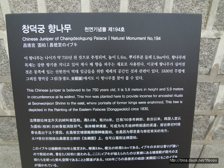 창덕궁~가을날 후원