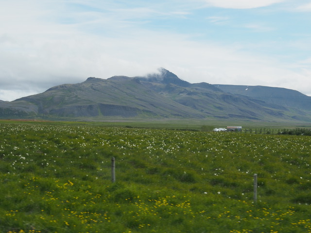 더블클릭을 하시면 이미지를 수정할 수 있습니다