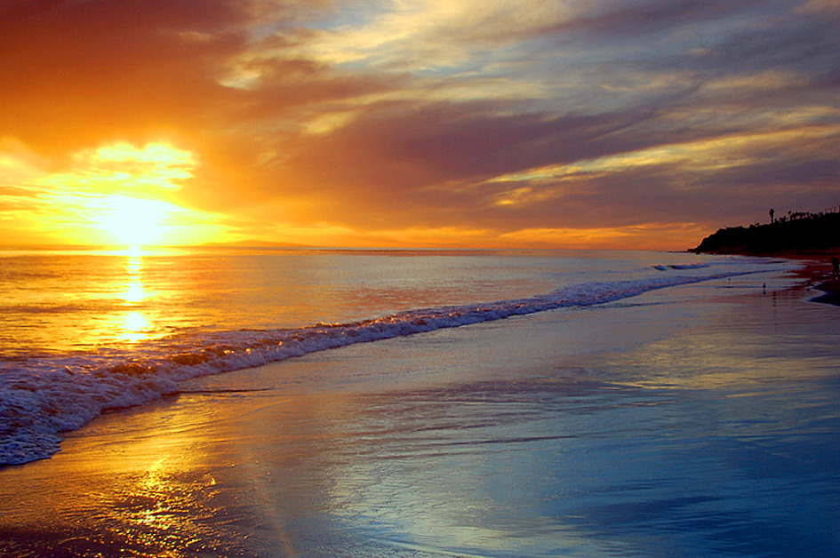 센스가 있는 아름다운 여인