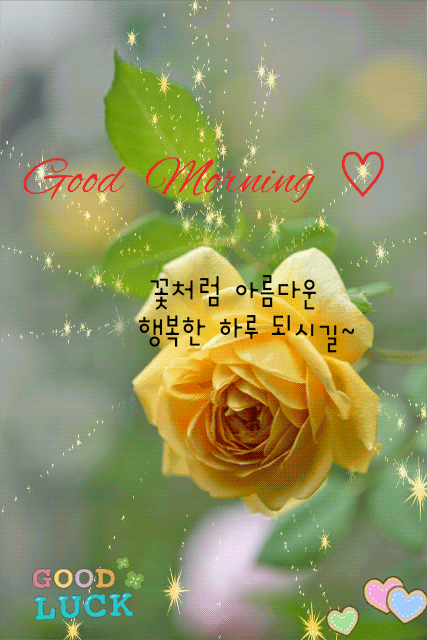 행복한 하루-장미 gif
