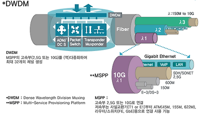 mspp : 네이버 블로그