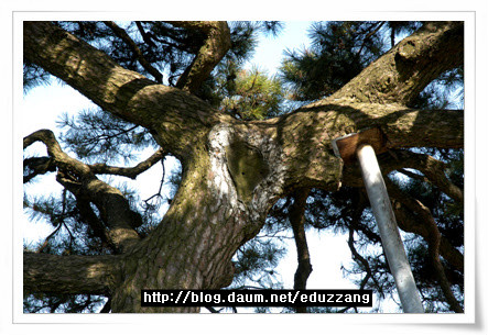 신미양요(辛未洋擾)의 현장, 광성보와 초지진