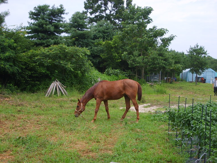 강화나들길7코스