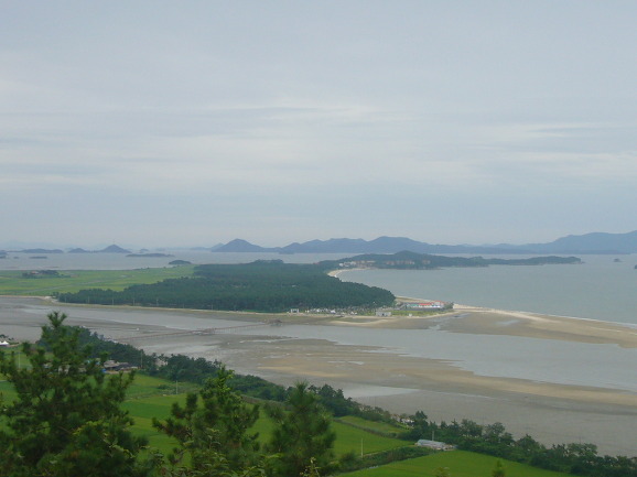 제10회 아름다운숲 전국대회 - 신안군 증도 우전 "한반도 해송숲" 수상