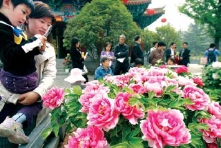 110A5305495AD7D5507E28