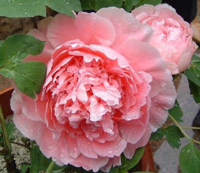 150A5305495AD7D44EE0D6