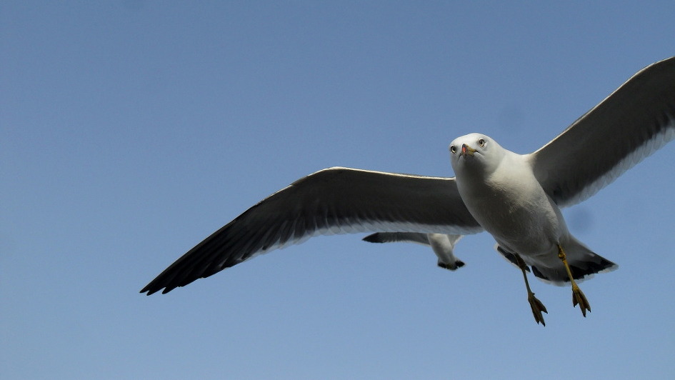 호룡곡산~하나개해수욕장~무의도선착장