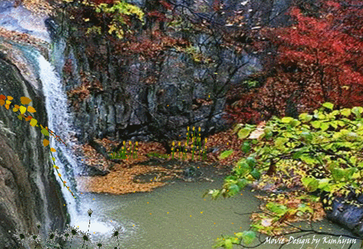 999BF33E5BAC97F317BCB5