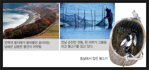소박한 어촌의 자연과 함께 하는 조상의 지혜가 담긴 자연친화적인 전통 어업, 돌살(독살)!