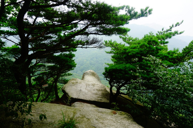 8월 16일(일) 삼각산 식당바위, 천해대 길배우기 산행