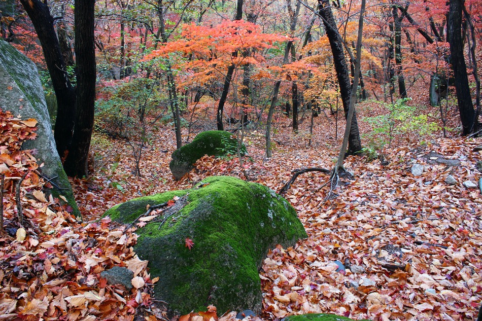 삼천사 ~증취봉~부왕사지~산성입구