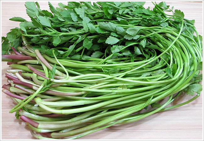 계란과 미나리의 봄소풍 이야기