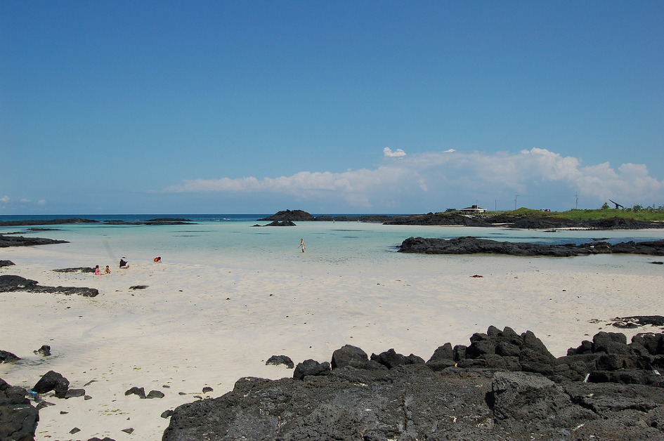 센스가 있는 아름다운 여인