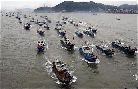 중국 어선, 심각성 지적
