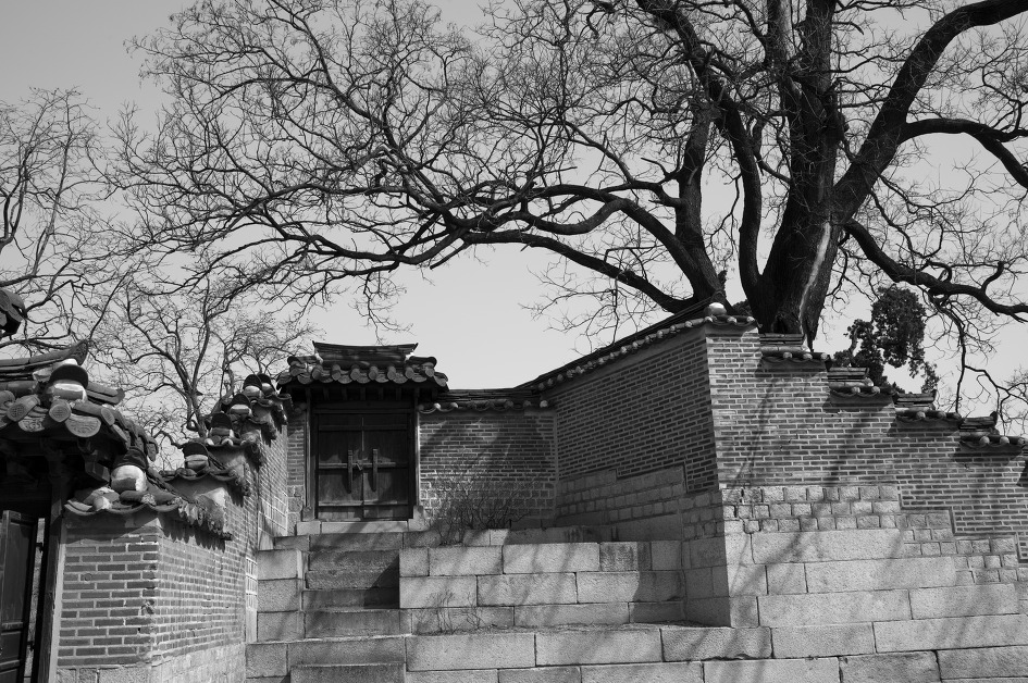 [서울] 취운정, 창덕궁, 13MAR10