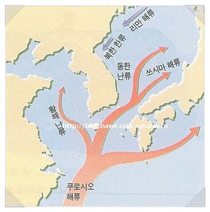 하멜 표류기의 하멜이 탈출할 수 있었던 것은?