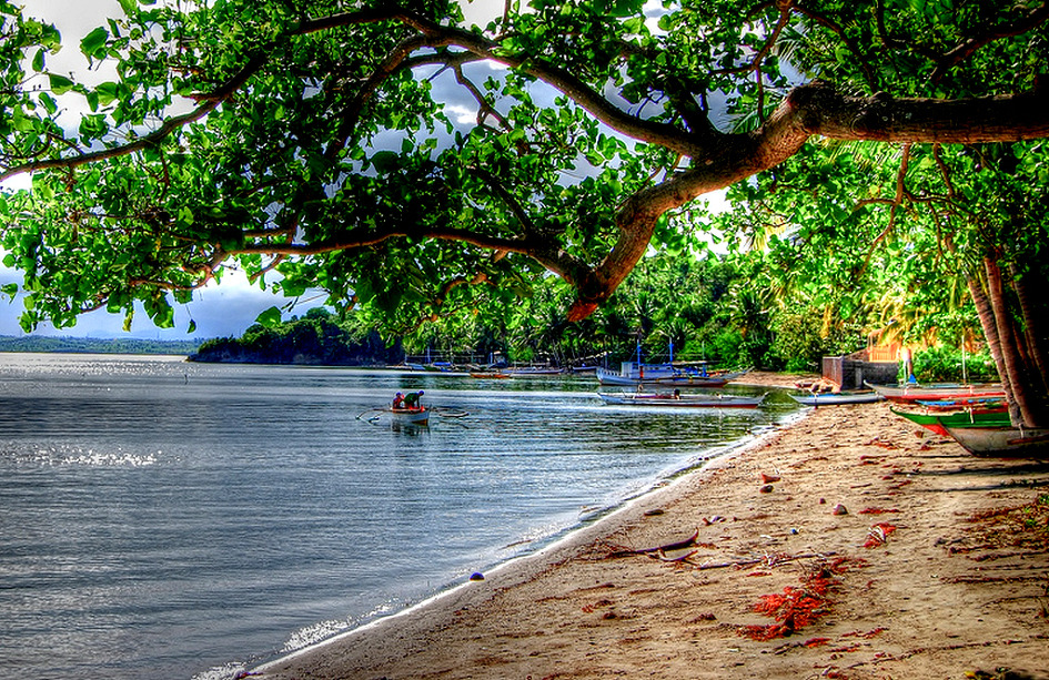 센스가 있는 아름다운 여인