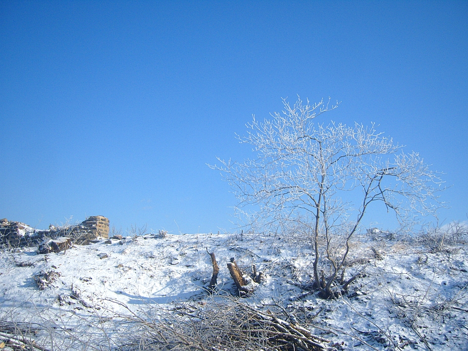 남한산 벌봉...&...남한산성(2011/12/24)