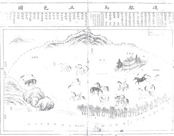 조선시대의 목장, 살곶이벌