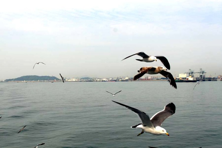 100년만에 개방된 팔미도 여행