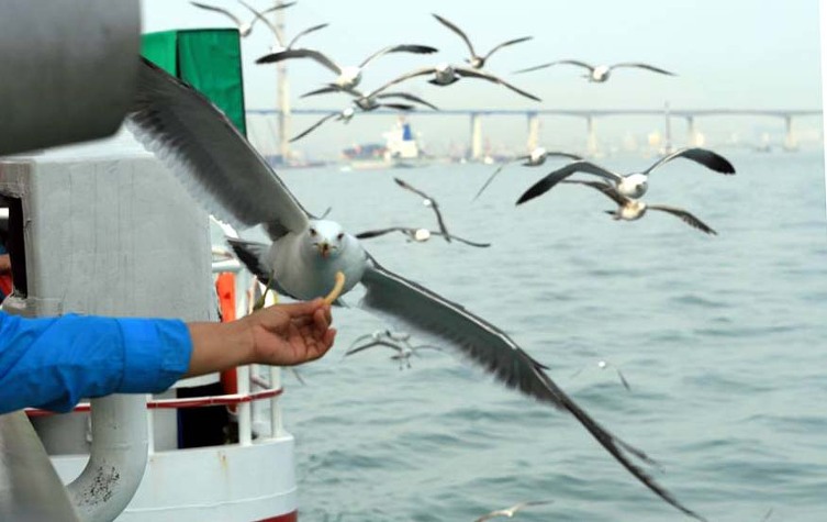 100년만에 개방된 팔미도 여행