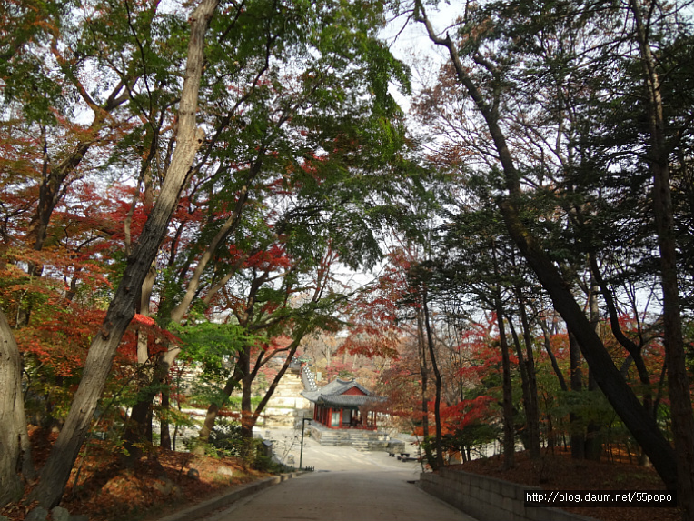 창덕궁~가을날 후원