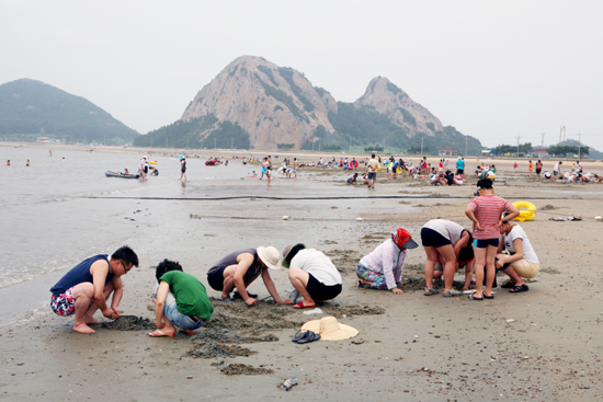 군산시, 선유도 해수욕장 개장 앞두고 최종점검