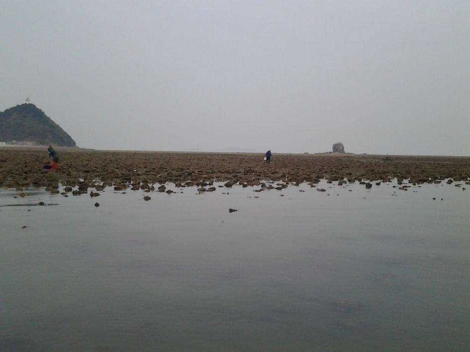 2014.4.25 도리도해루질