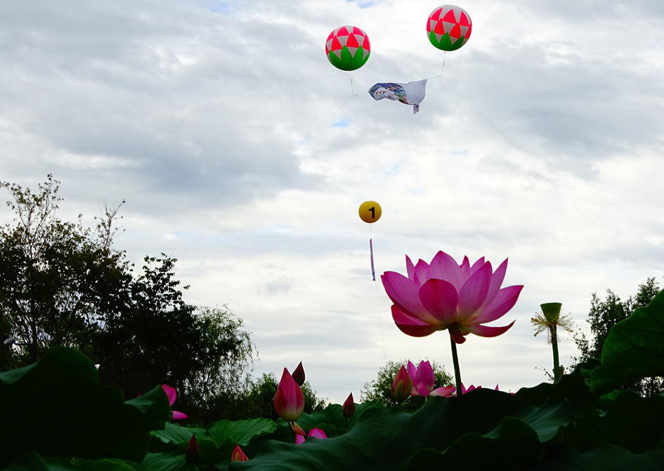 더블클릭을 하시면 이미지를 수정할 수 있습니다