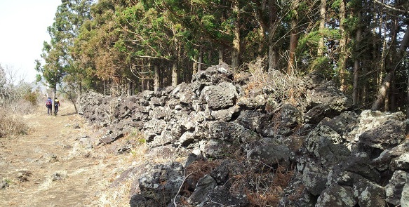 갑마장 길 위의 봄