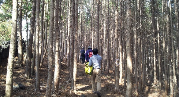 갑마장 길 위의 봄