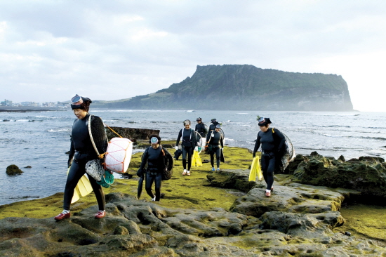 급속한 고령화 제주해녀, 복지 지원 대폭 늘인다