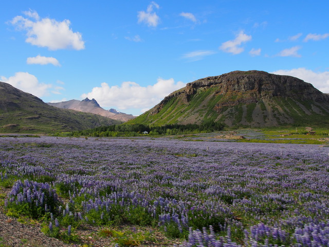 더블클릭을 하시면 이미지를 수정할 수 있습니다