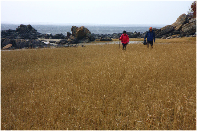 강화나들길 7코스(염하가람과 함께)