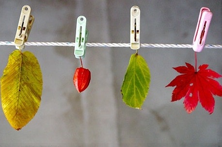 가을 엽서...홍해리