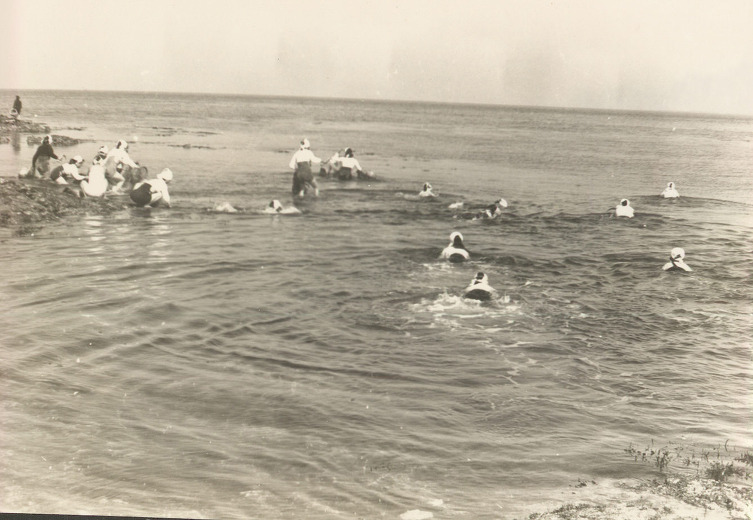 제주의이야기...바다에주인공 "어머니와 해녀"