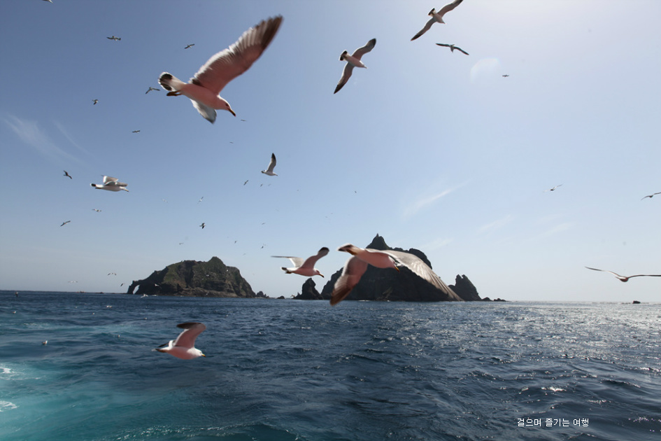 독도 최초 주민 최종덕 기념 사업회와 함께한 독도여행 아쉬지만 접안은 다음으로..!!