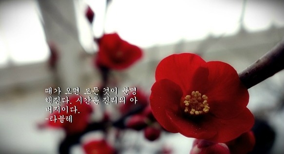 우정에대한 명언 글귀 모음 !