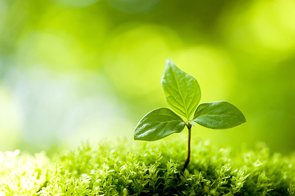 봄 계절 인사말 # 말해보자!