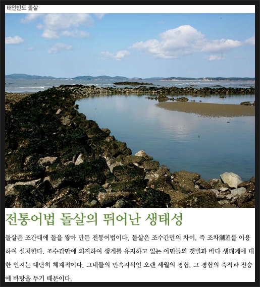 소박한 어촌의 자연과 함께 하는 조상의 지혜가 담긴 자연친화적인 전통 어업, 돌살(독살)!