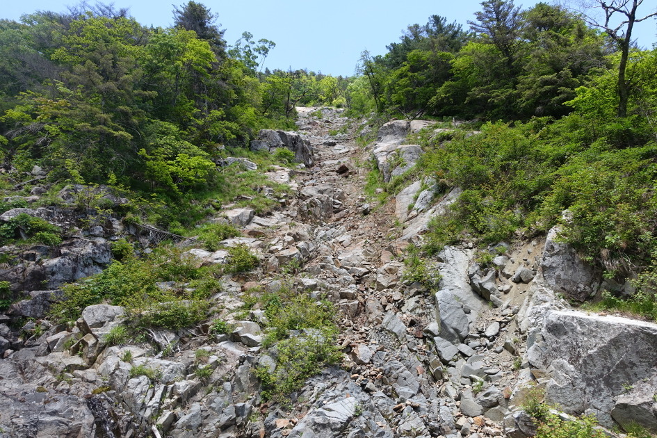 지리산(마야계곡~일출능선)