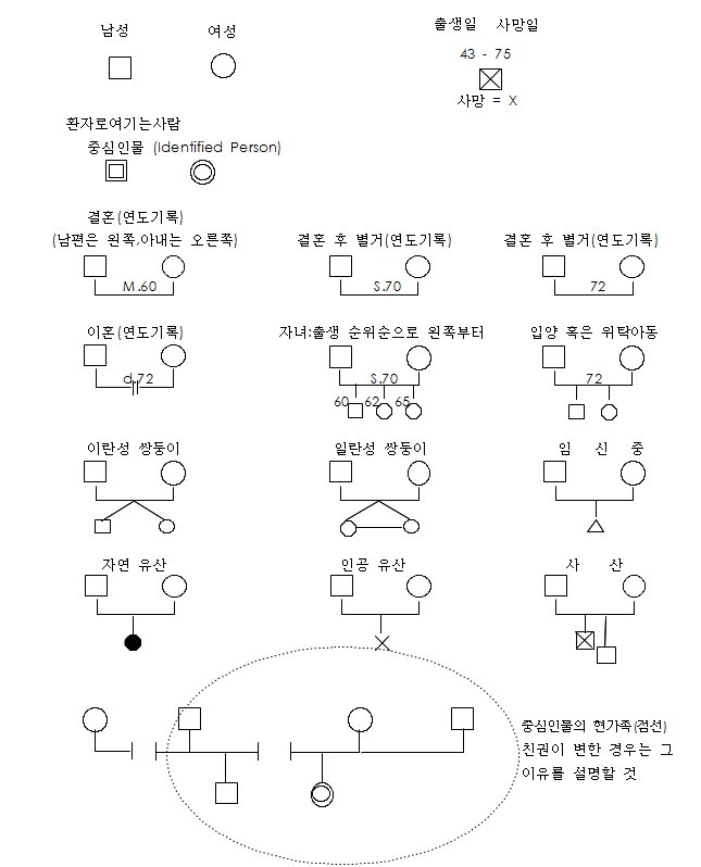 가족 가계도