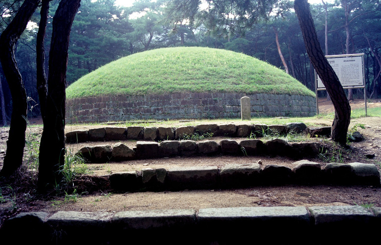 동남산기슭의 신라왕릉- 傳 헌강왕릉과 정강왕릉