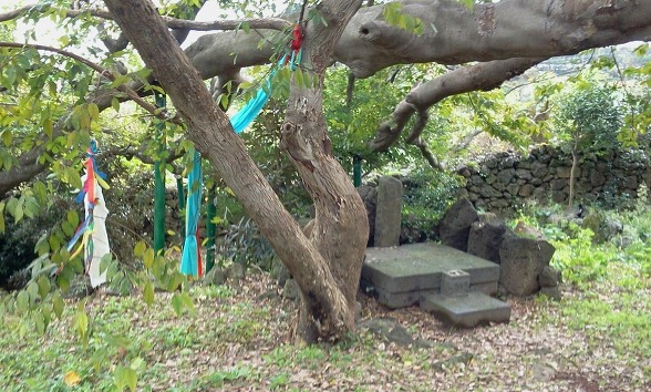 제주도기도터...본향당