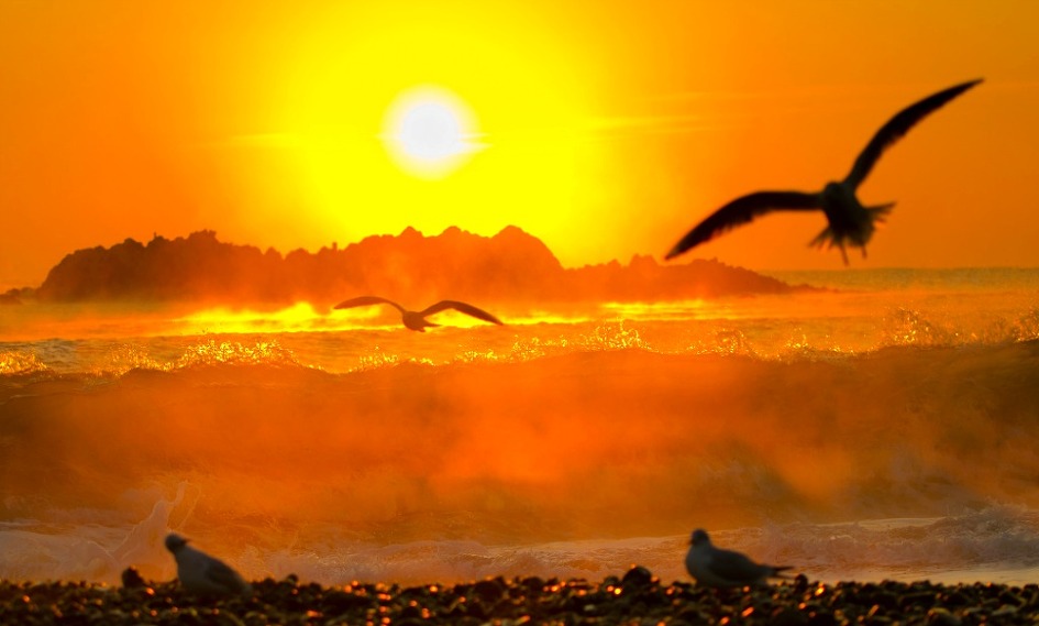 경주 감포 대왕암 일출