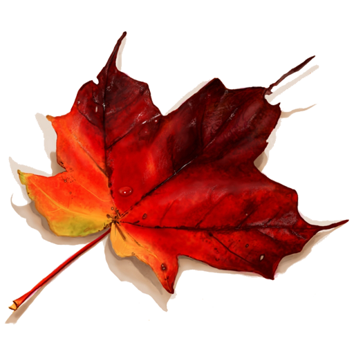 Yves Montand Autumn Leaves 이브몽땅의 고엽 枯葉 음악감상실 뜨는 가수와 놀자