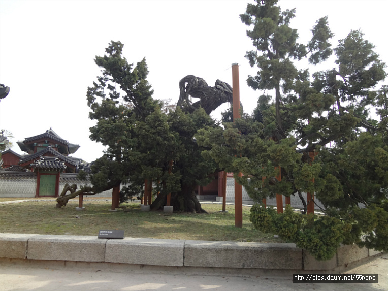 창덕궁~가을날 후원