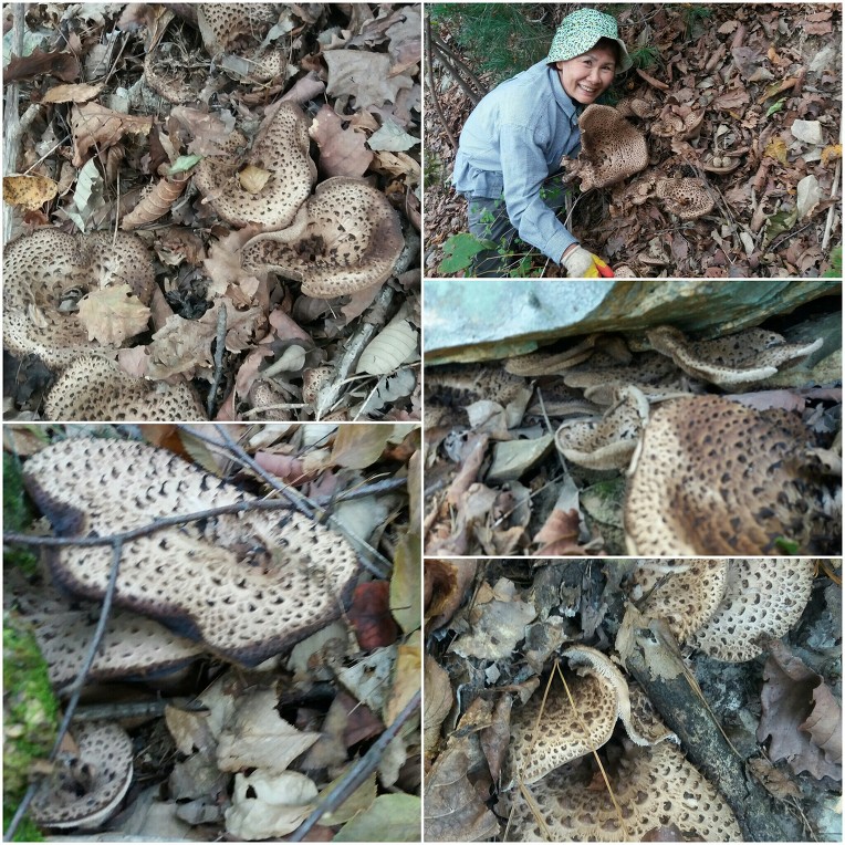 더블클릭을 하시면 이미지를 수정할 수 있습니다