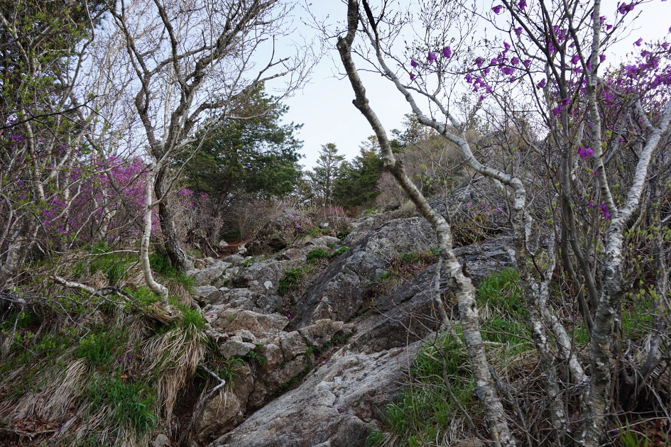 지리산 반야봉1